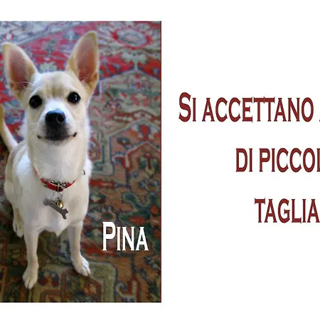 Hotel Ariston Cesenatico