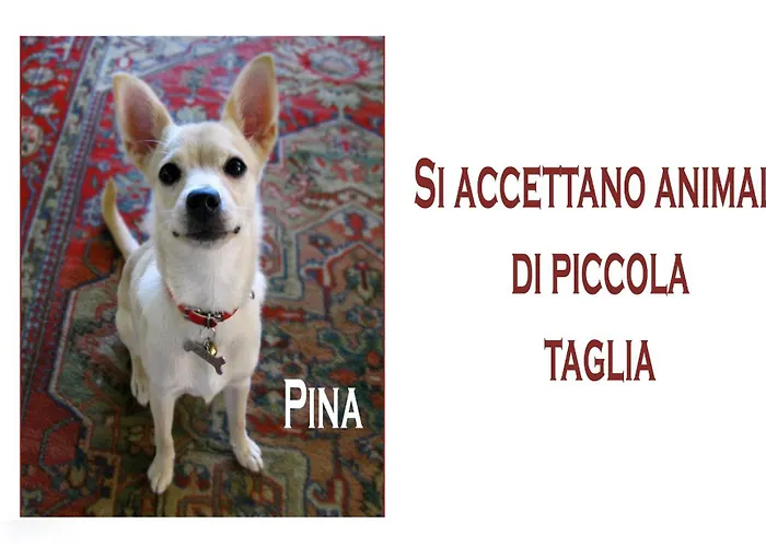 Szálloda Ariston Cesenatico